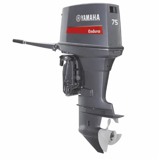 MOTOR FUERA DE BORDA E75B